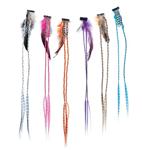 JAHAEBR Braided Hair Extension with Feather