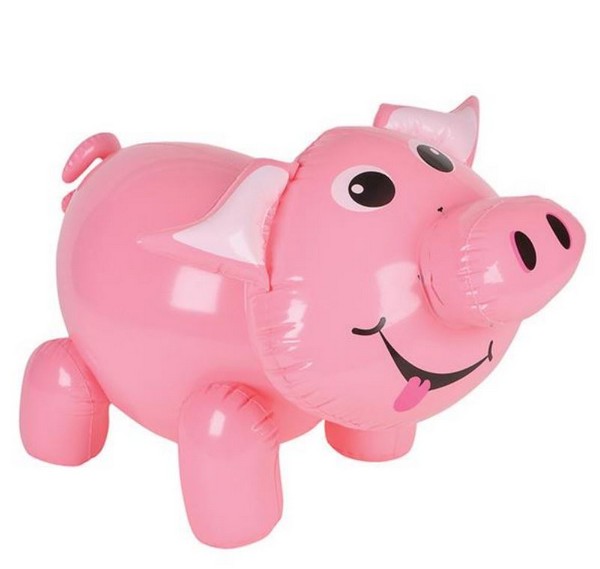 IR95335 24" Pig Inflate