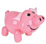 IR95335 24" Pig Inflate
