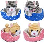 PR79599 Cat In Bed Plush