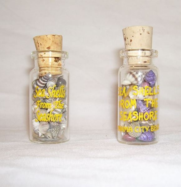 NGH105C Sea Shells from the Seashore in Mini Glass Bottle With Custom ...