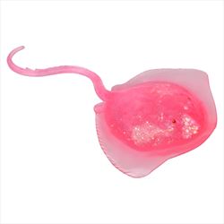 TR86641 Squeezy Sugar Sting Ray 5.25