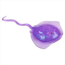 TR86641 Squeezy Sugar Sting Ray 5.25
