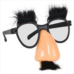 AR11338 Nose and Glasses