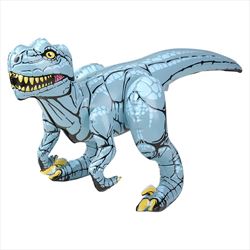 IR12404 Raptor Inflate 24