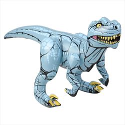 IR12404 Raptor Inflate 24