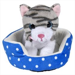 PR79599 Cat In Bed Plush