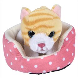 PR79599 Cat In Bed Plush