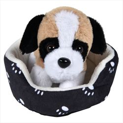 PR79605 Dog In Bed Plush